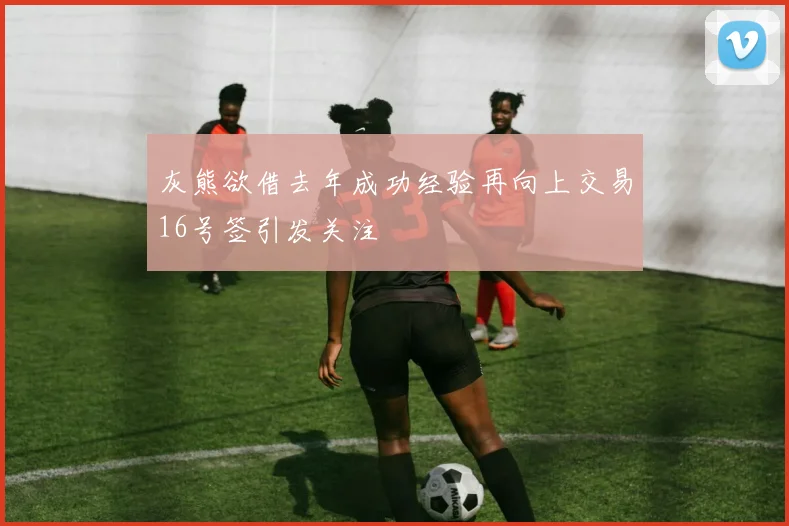 灰熊欲借去年成功经验再向上交易16号签引发关注